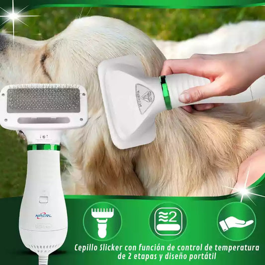 Secador & Cepillo 2en1: Domina el Arte del Secado Sin Estrés 🐩✨